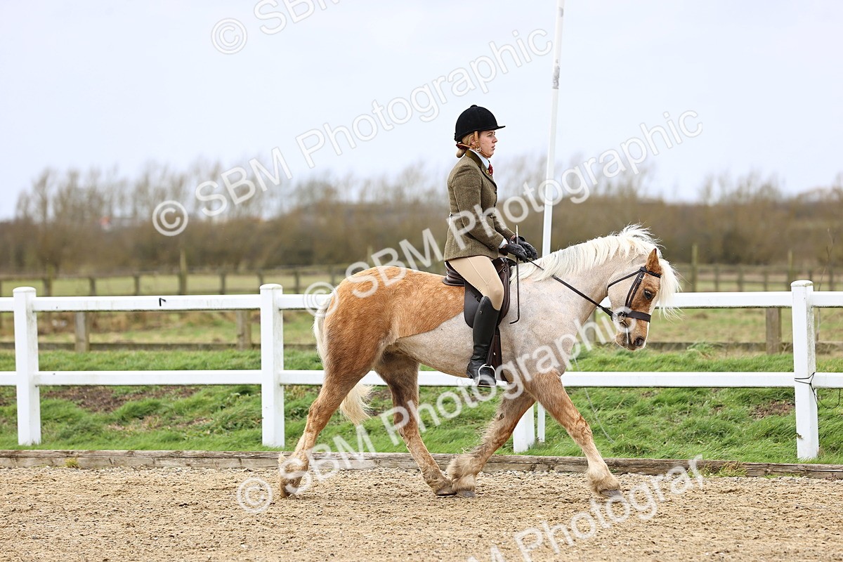 SBM_006893 - Class 29 - 30 - M&M Pure Novice Small-Large Breeds