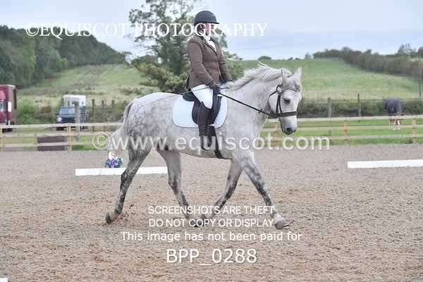 BPP_0288 - NOVICE 4 & 6