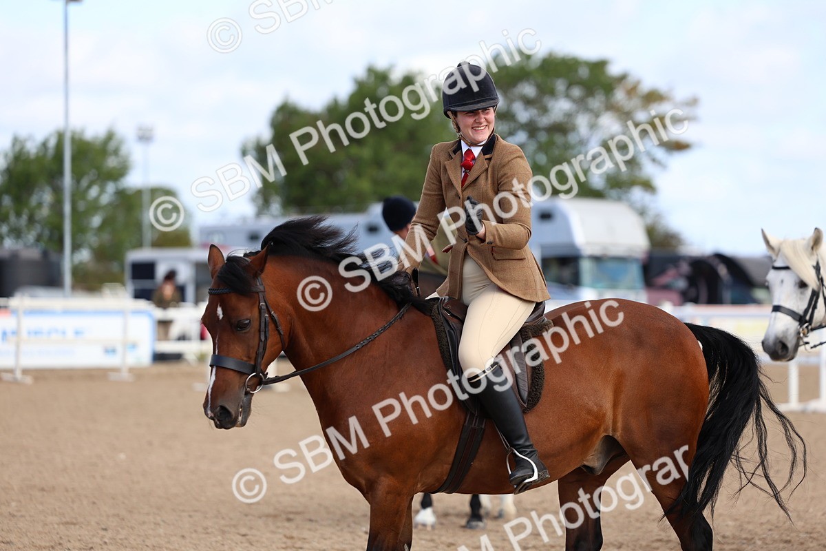 SBM_08954 - Class 302 - Ridden M&M - Large Breeds