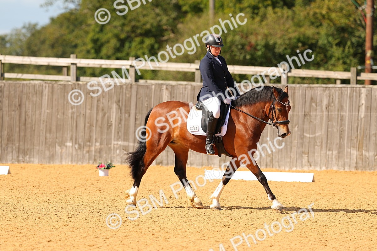 SBM_40823 - D18 - Grand Tour Championship - Novice 34