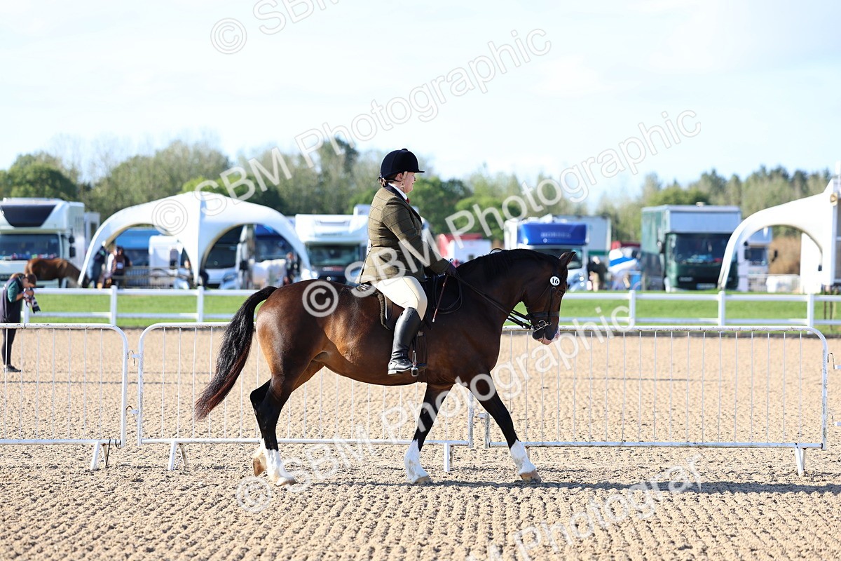 SBM_08710 - Class 302 - Ridden M&M - Large Breeds