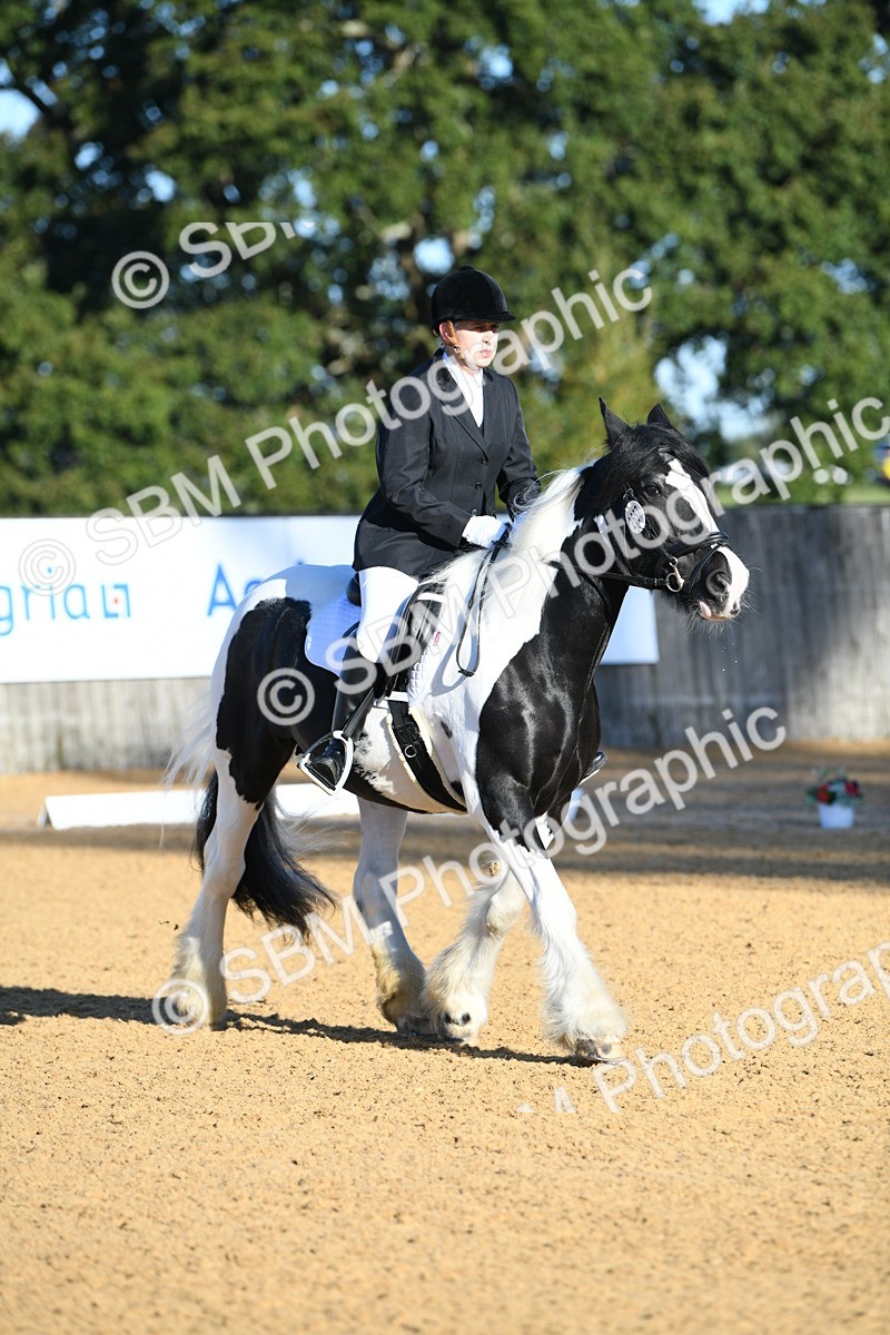 SBM_14426 - D4 - Small Tour Championship - Intro B