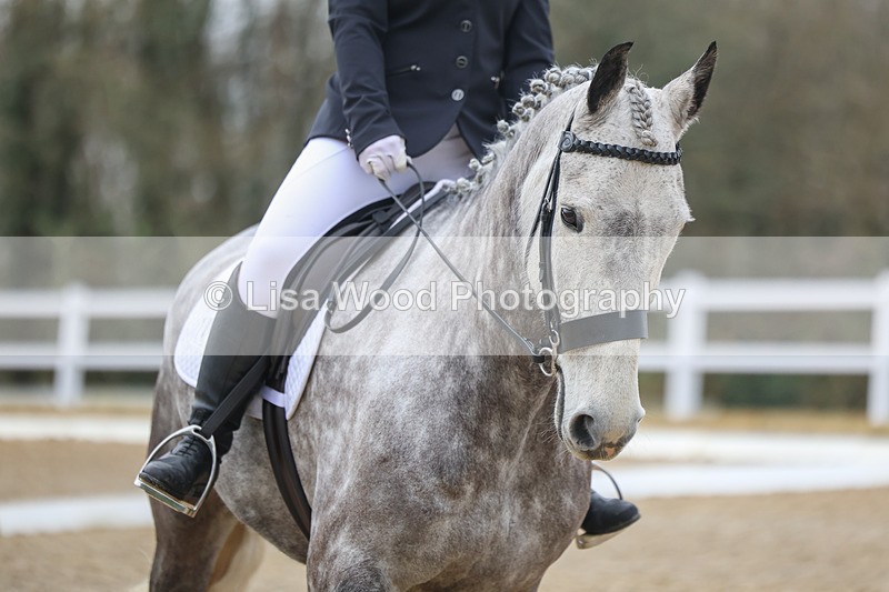 3E7A8769 - Class 1: Intro 1 2024 sec A - part two