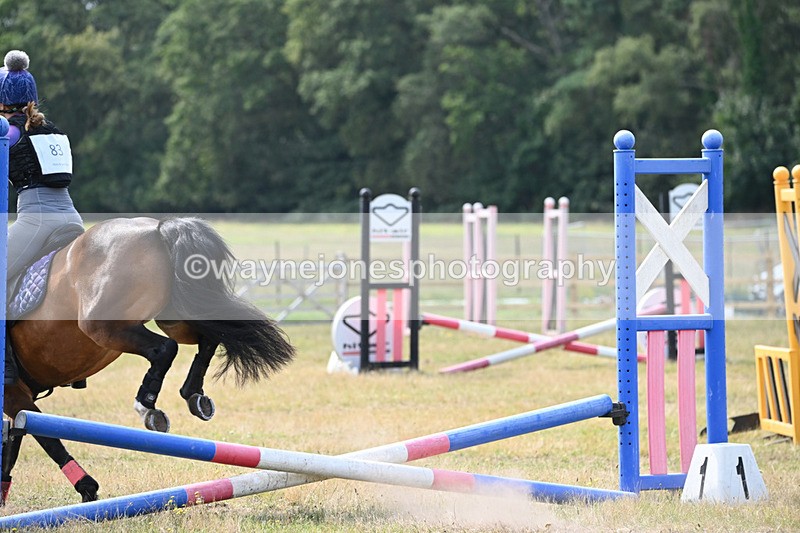 WJ6_9312 - 60cm Time 11:54 to 12:13