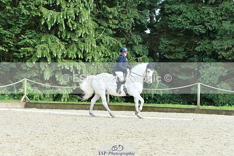 230623-170331-01454 - Cls 8 Medium 73Q