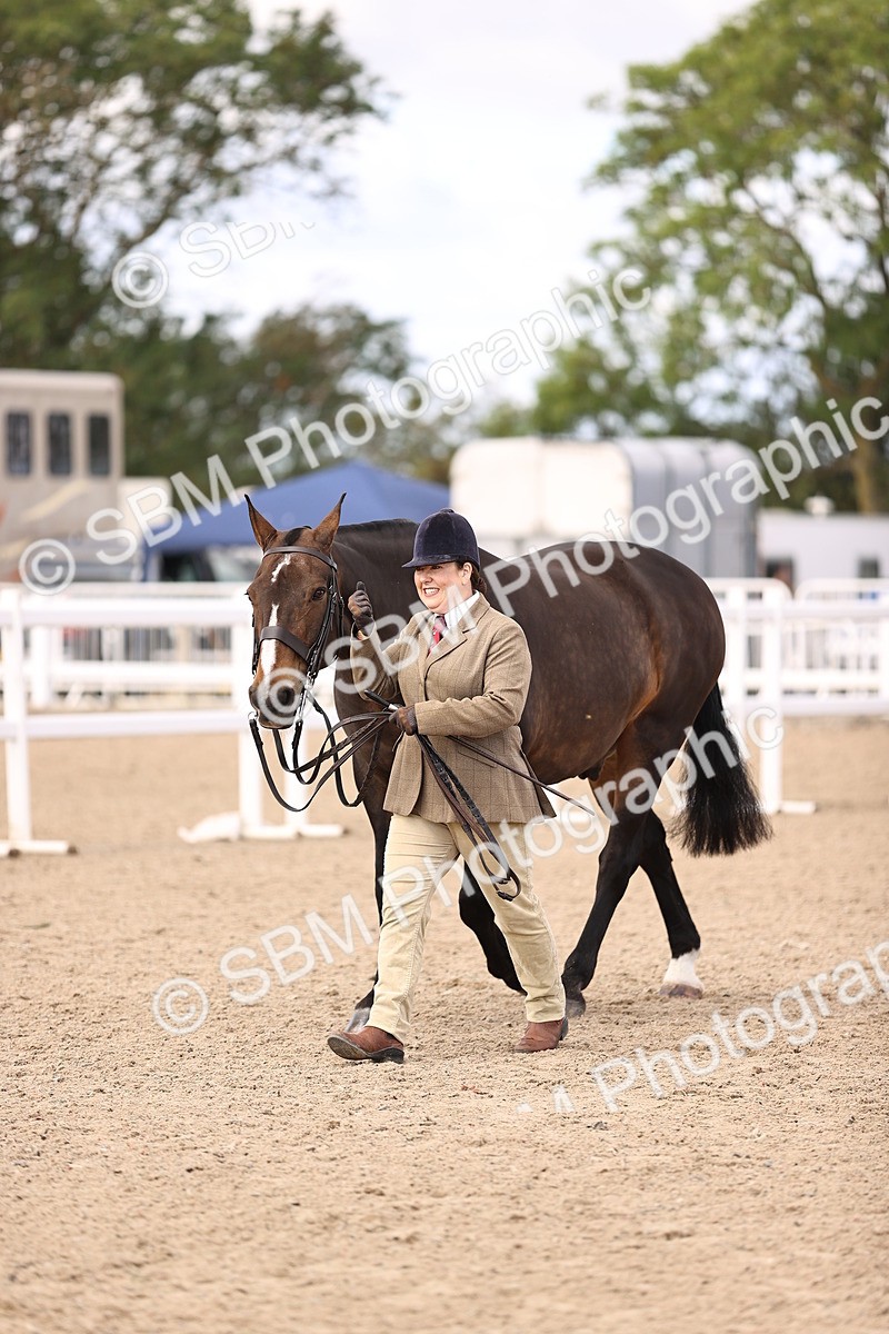 SBM_10393 - Class 405 - IH Show Cob