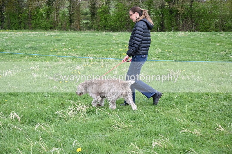 WJ6_8071 - Class 2 Best Pedigree