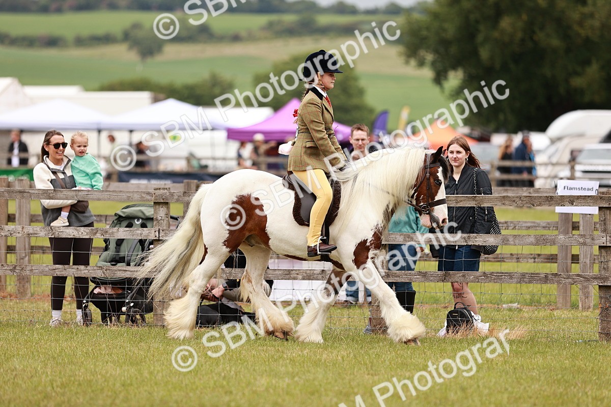 SBM_06197 - Class 39-41 TGCA In Hand and Ridden