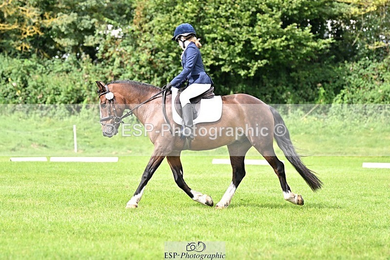 230826-112428-16976 - Sections A & B 10 to End