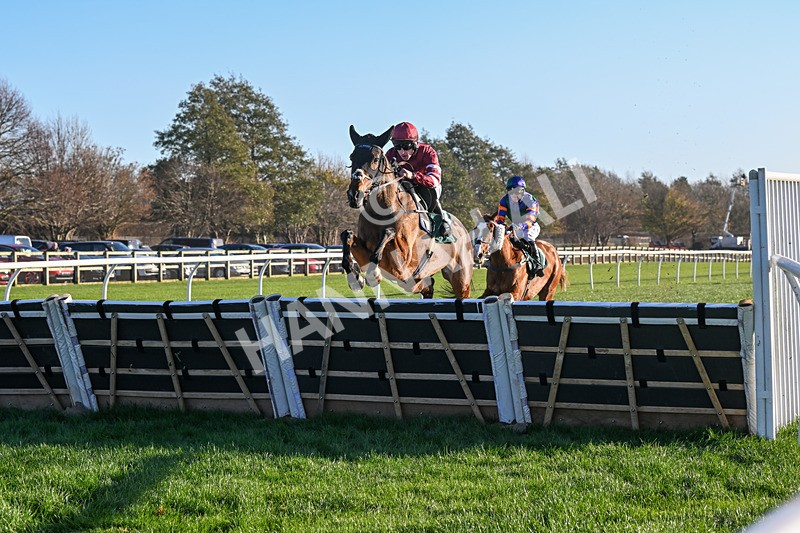 221124-Race 1-You Some Girl-4695 - Race 1