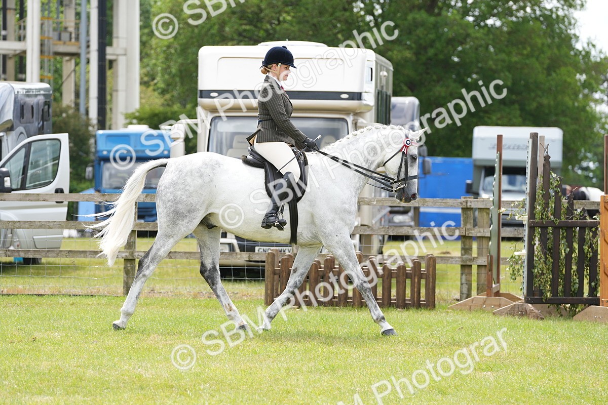 SBM_16143 - Class 105-106 - RIHS Riding Horses