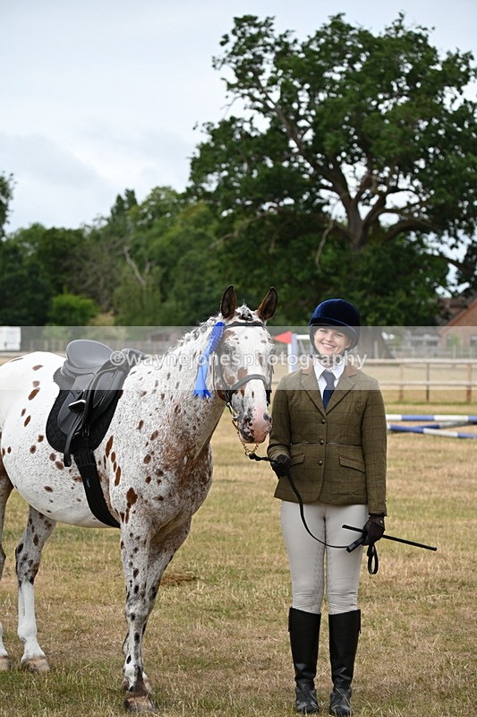 WJ6_4002 - Class 9 Tack & Turnout