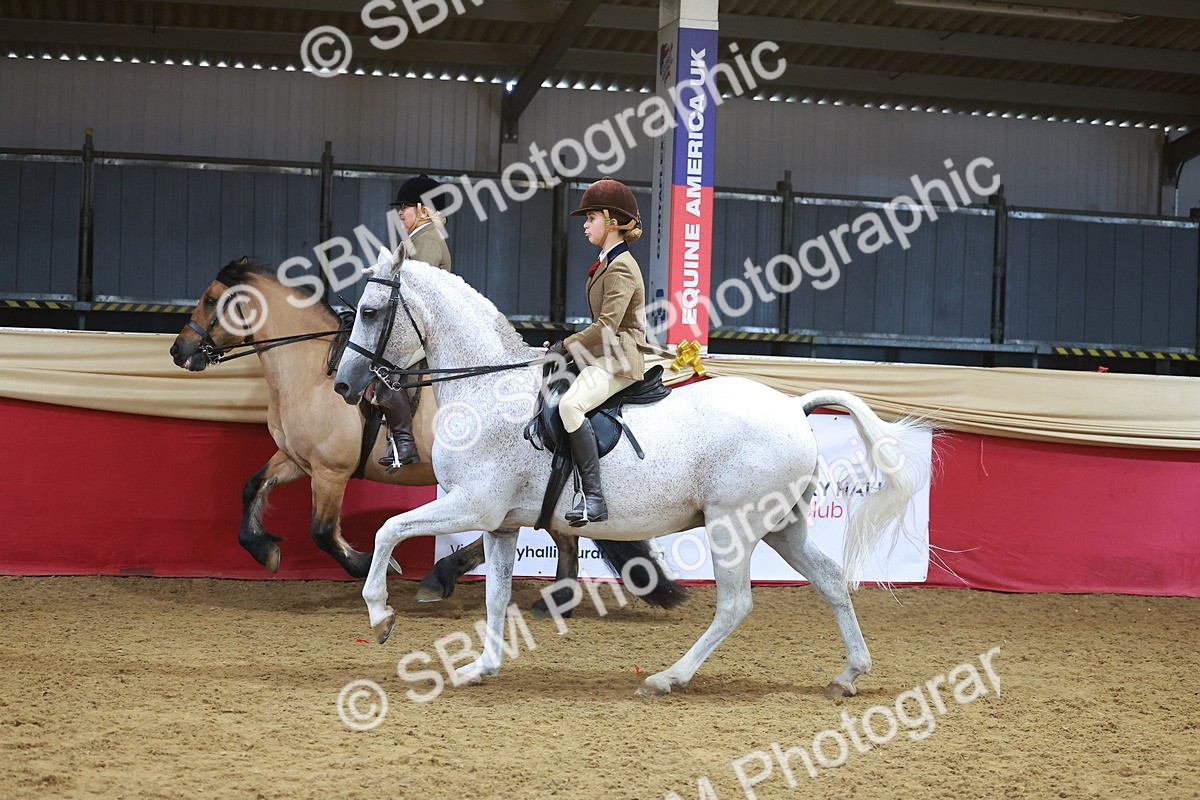 SBM_09441 - Class 102 - HOYS Veteran Qualifier - Ridden Veteran
