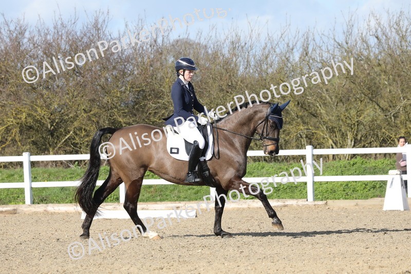 20260314-5057 - CT6 - Elementary 1