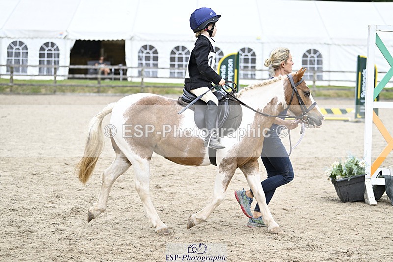 240822X-131923-08053 - 40cm LR R2 13.00 to 15.00