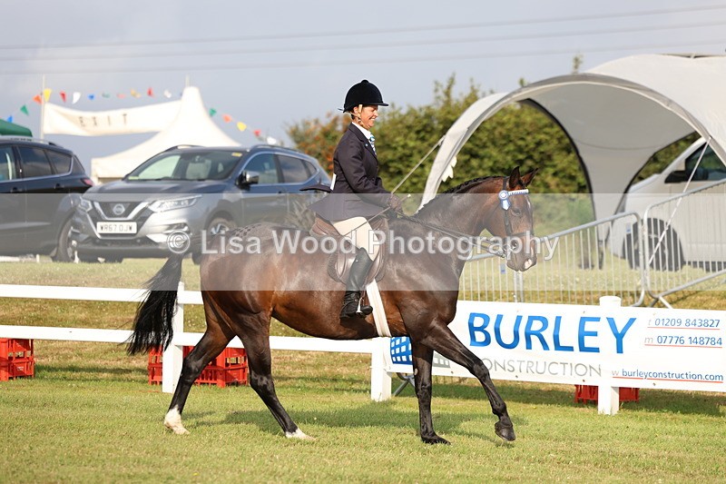 3E7A7704 - Class 1: Rising Star Small Hack/Riding Horses