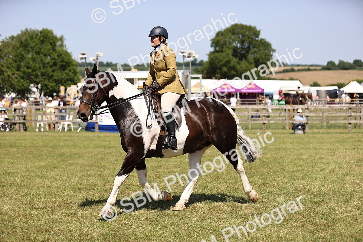 SBM_17899 - Class 81-83 - TSR Ridden Amateur of the Year - Horses