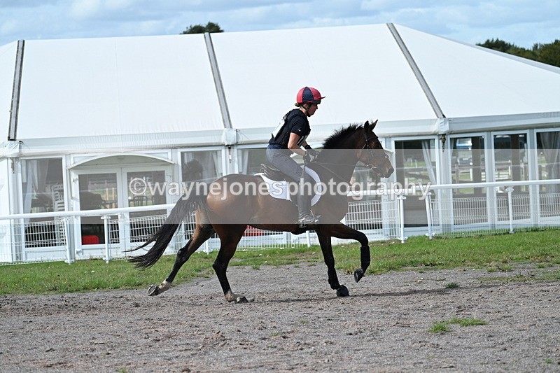 WJ7_2395 - Time 13:55 to 14:05