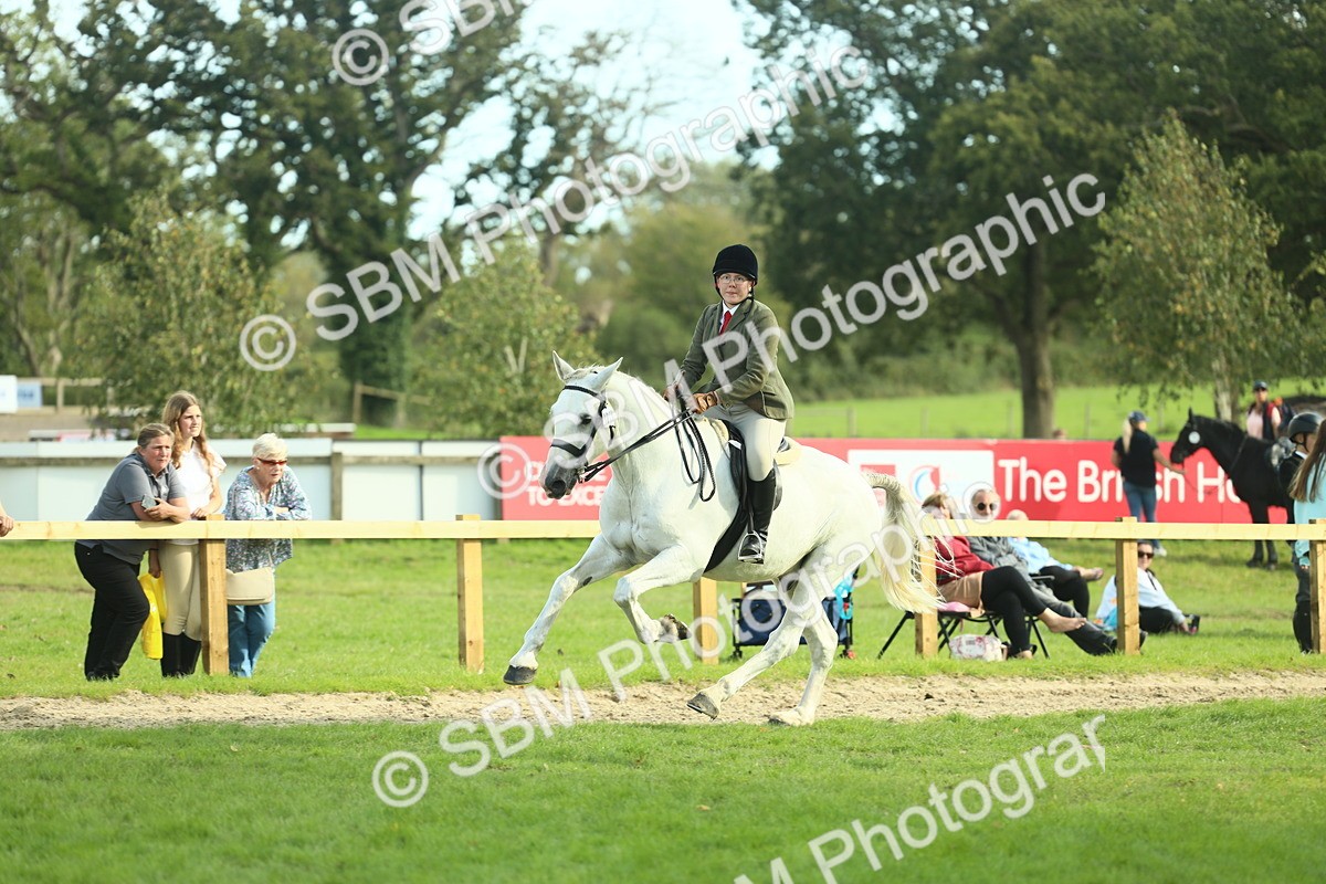 SBM_50712 - S33 - Working Hunter & Working Show Horse