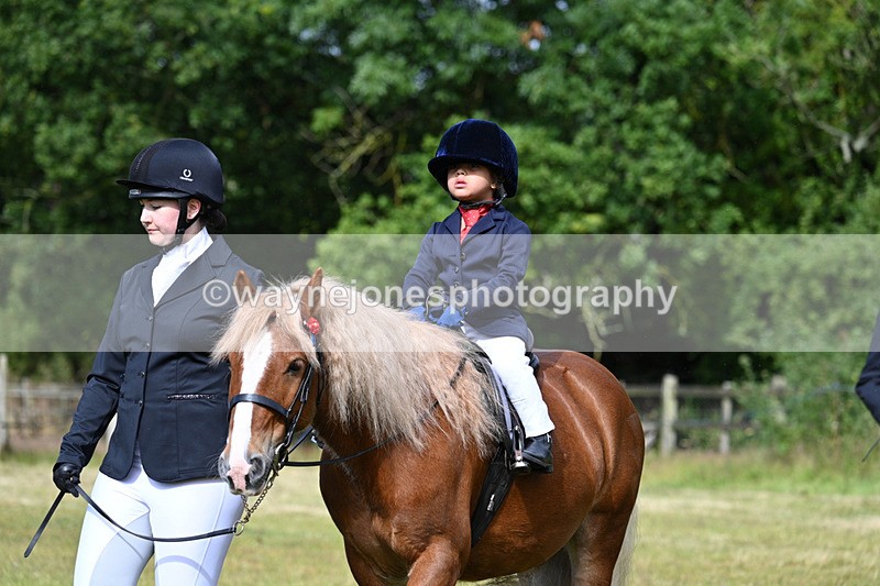 WJ7_4347 - Class 1 Lead Rein Pony