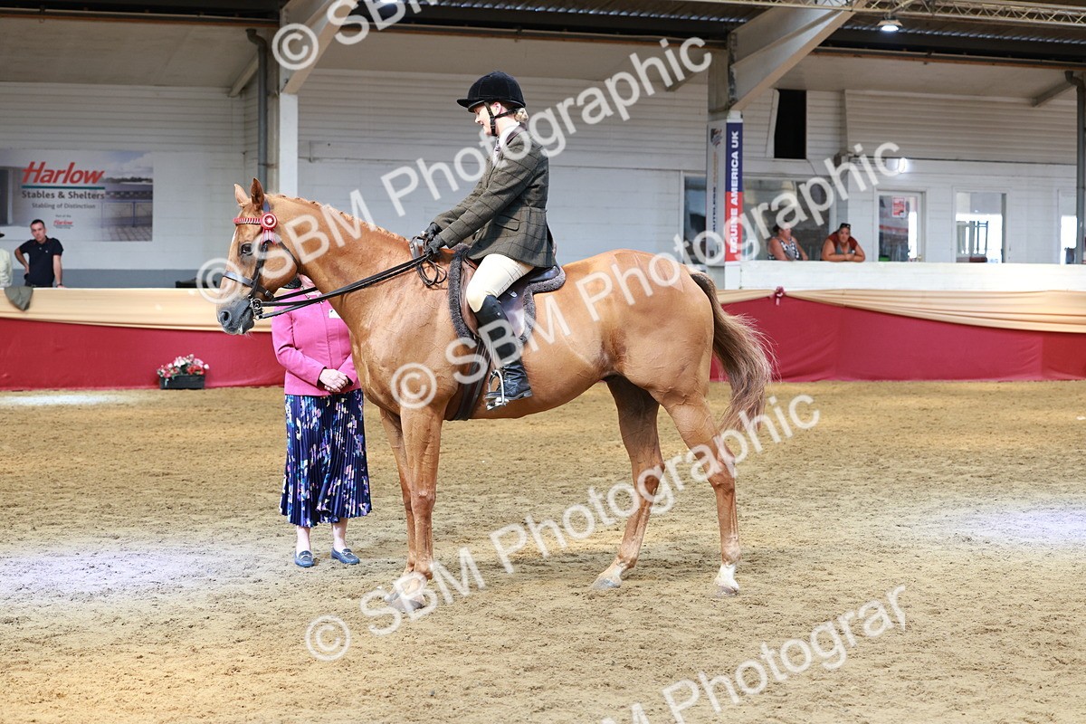 SBM_14935 - Class 108 - Ridden Retired Racehorse