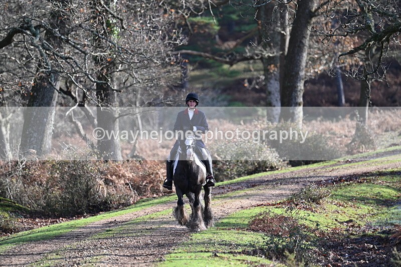 WJ7_7767 - Line 3 (no line 4 or 5)