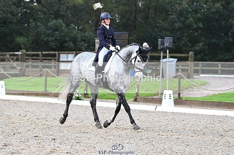 231019-094900-01227 - 028-BOLEYBAWN.COOLEY.LADY-Claire.Fielding-DR