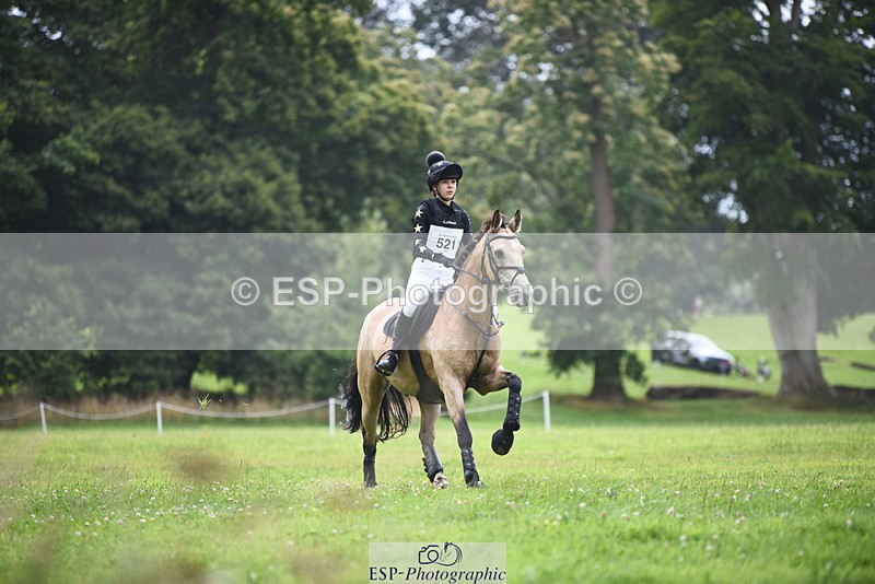 240804-134806-14695 - 521-Lily_Howell-WOODFIELD_GOLD