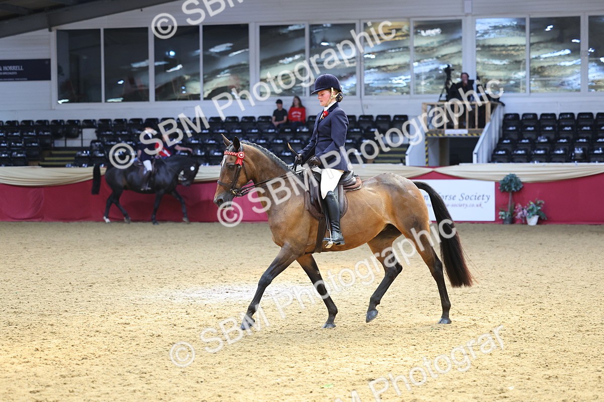 SBM_24080 - Class 905 - Supreme Final - Ridden Veteran