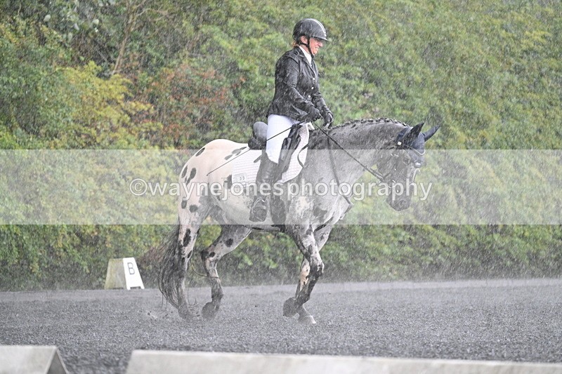 WJ7_8226 - Time 14:02 to 14:11