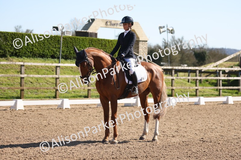 20260318-0541 - Class 5 - Novice 2