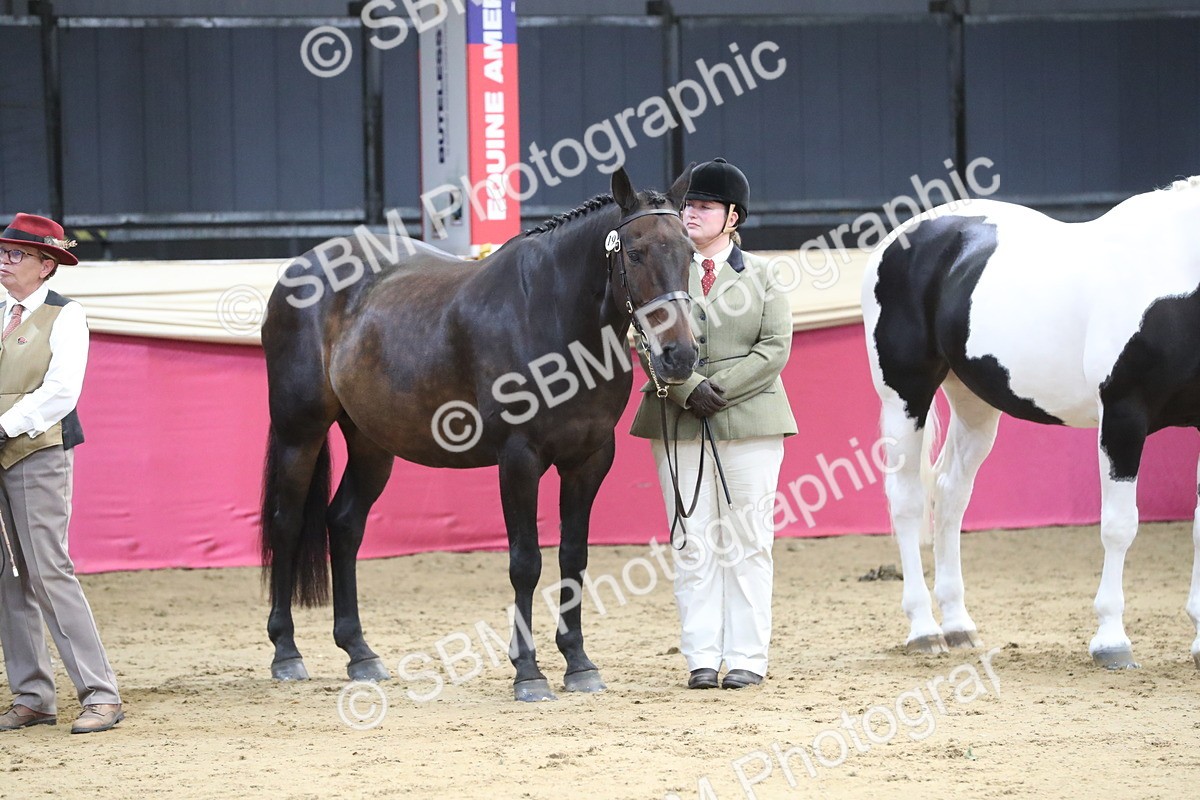 SBM_06445 - Class 9R Regional- IH Pre Vet