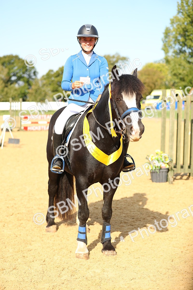 SBM_60434 - J41 - Grand Tour 95cm Championship