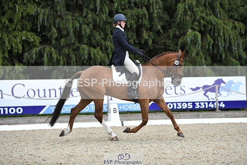 230525-144311-03168 - 323-CHESTNUT_BOBBY-Molly_Fletcher-WEDTrotUp+DR