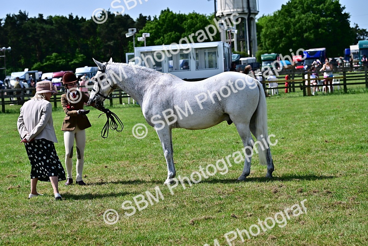 SBM_03881 - Class 58 - TSR  Ridden Veteran Amateur of the year