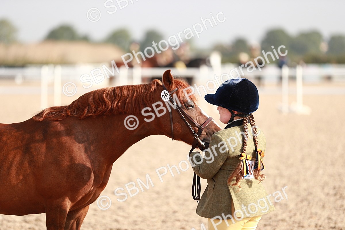 SBM_09880 - Class 203 Young Handler, 10 years and under