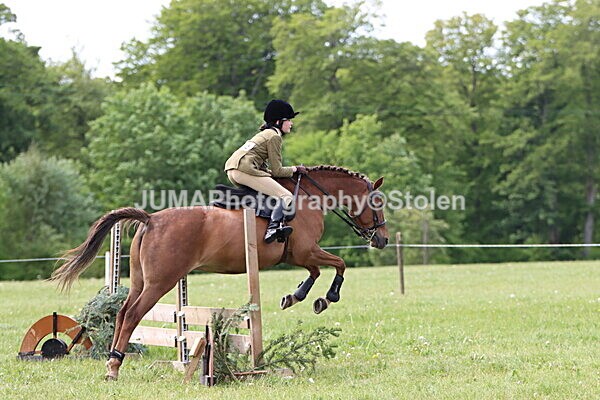 IMG_3004 - Working Hunter