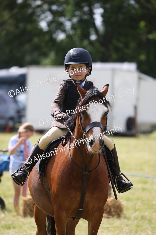 20260614-0507 - Class 20 - Beginners Working Hunter Pony