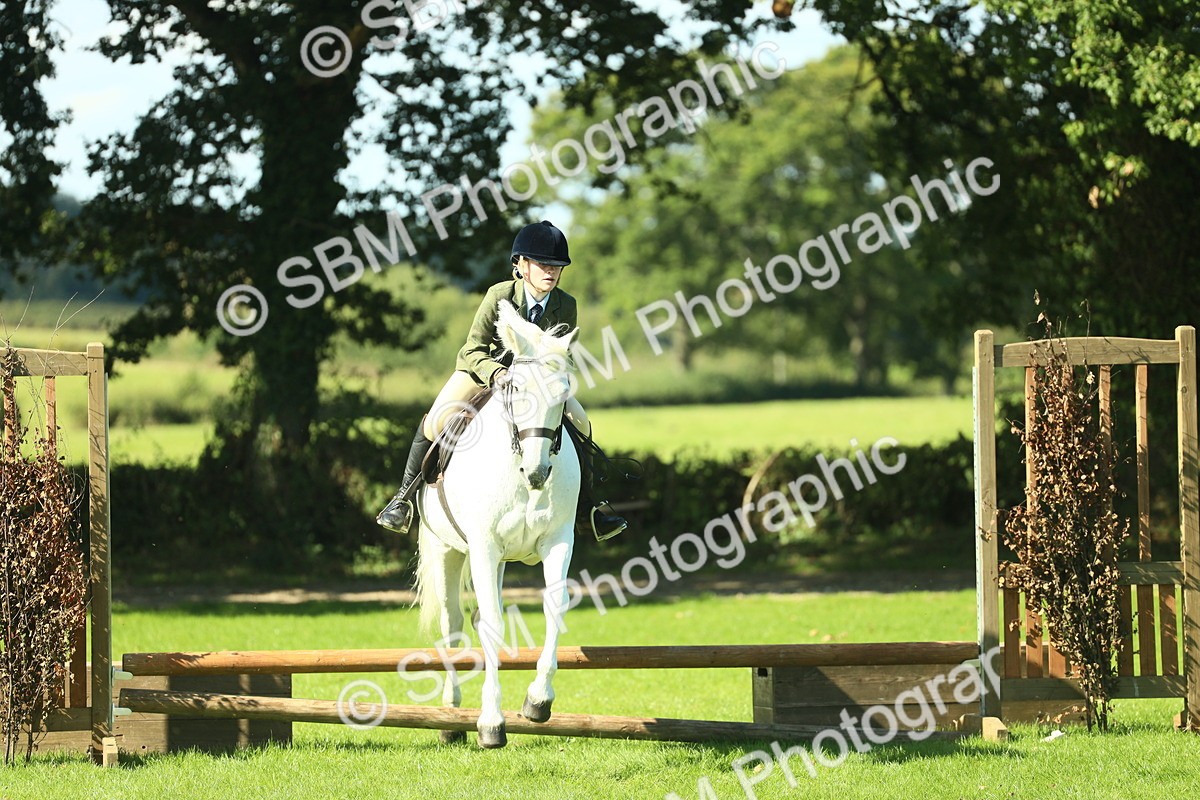 SBM_39179 - S29 - Novice & Newcomers Working Hunter Pony