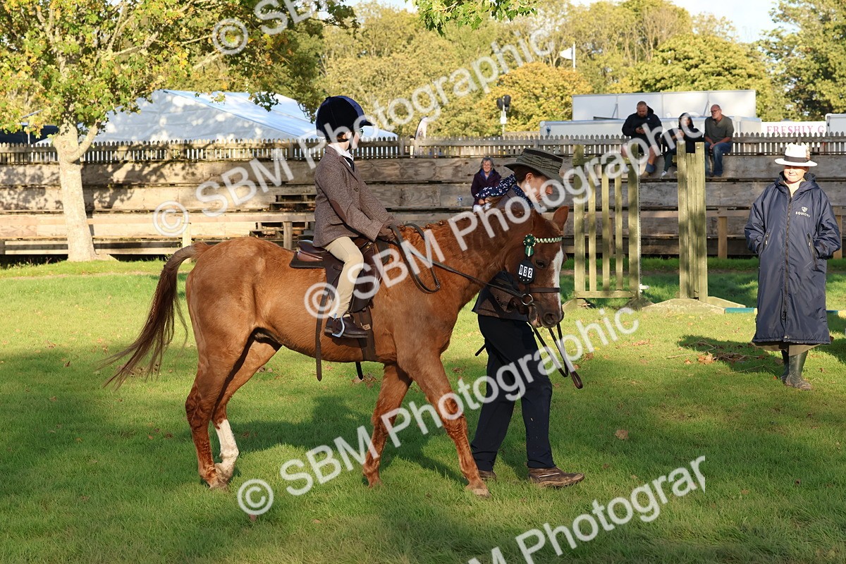 SBM_53028 - S29 - Mature Veteran Ridden