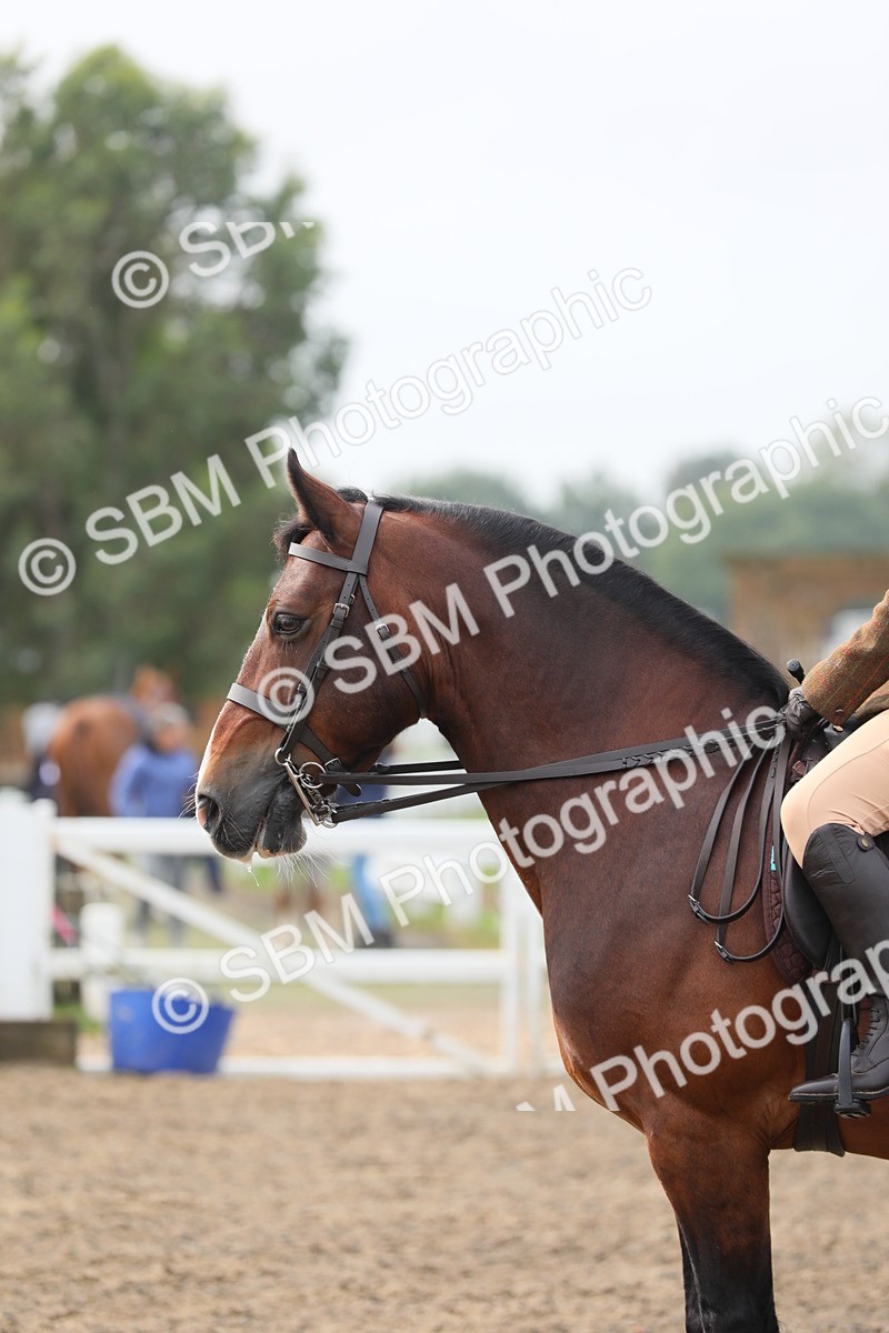 SBM_21362 - Class 805 - Ridden Veteran Horse