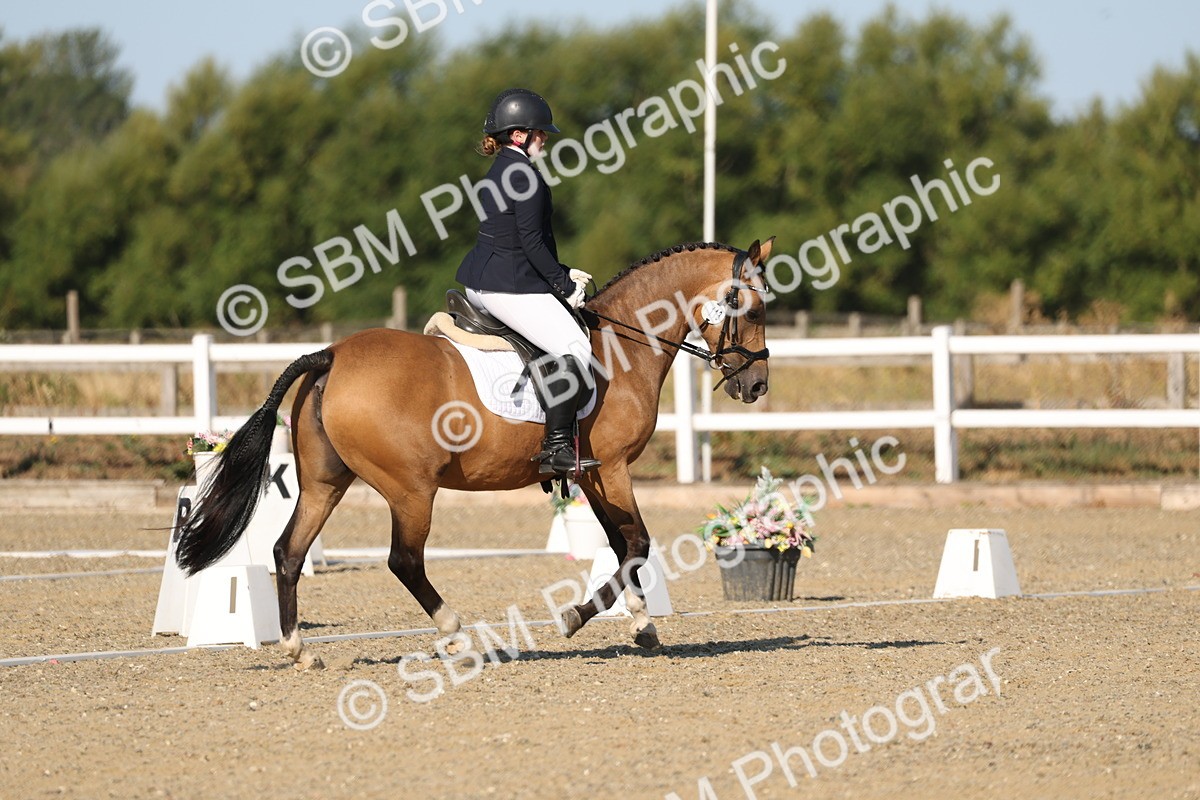 SBM_012611 - Class 1 - P5 Bronze 9.00.10.12