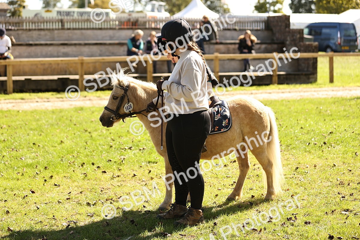 SBM_19321 - S3 - TSR Ridden Pony Showing