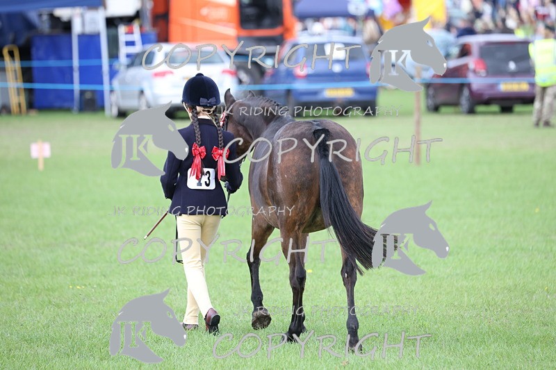 APP_2632 - Class 9 Veterans in hand