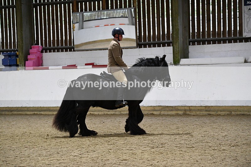 WJ5_8609 - Class 14 Novice Ridden/Rider