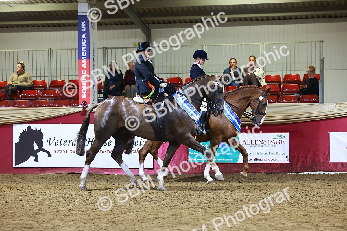 SBM_15184 - Class 0 - Ridden Pairs Champ
