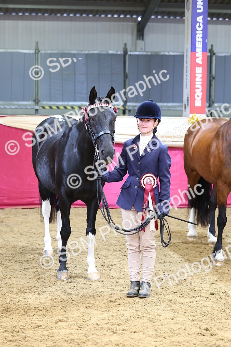 SBM_22977 - Class 903 - Supreme Final - IH Pre Vet