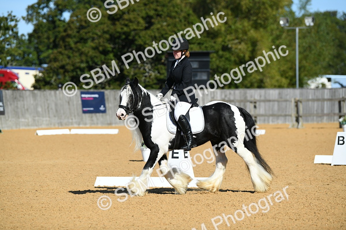 SBM_18067 - D4 - Small Tour Championship - Intro B