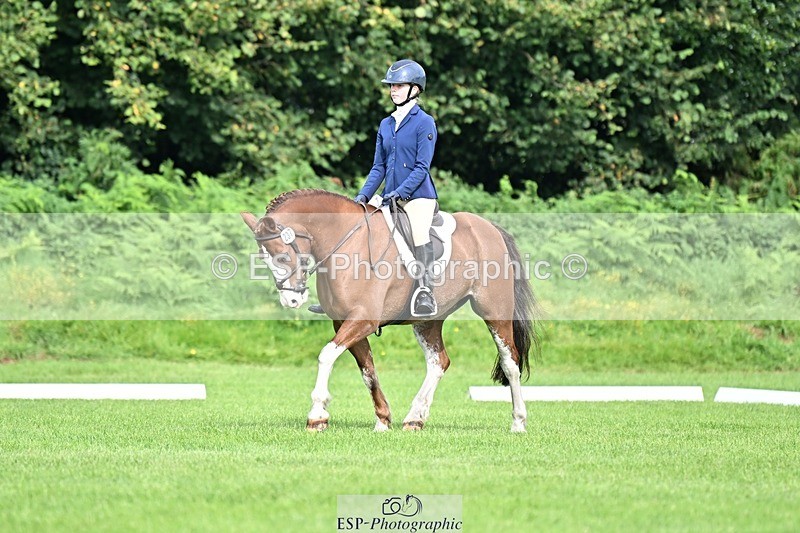 230826-100341-16342 - Sections A & B 10 to End