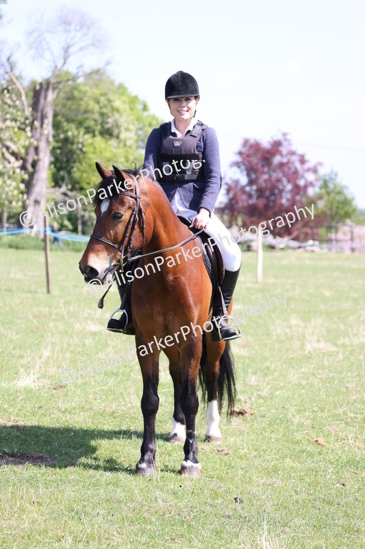 20250427-3238 - Class 33 - Best Pony 14.2hh and Under